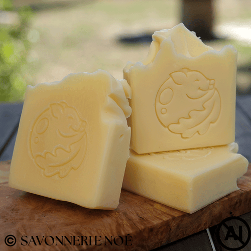 Savon NATURE